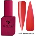 DNKa Cover Base 12 ml no.0077 Campari