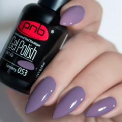 Gel nail polish PNB  053 8 ml