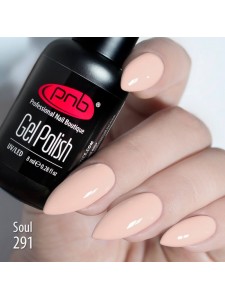 Gel nail polish PNB  291 8 ml