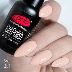 Gel nail polish PNB  291 8 ml