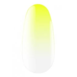 Express spray for ombre 13 5 g Kodi professional