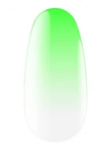 Express spray for ombre 14 5 g Kodi professional