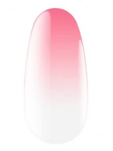 Express spray for ombre 16 5 g Kodi professional