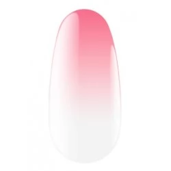 Express spray for ombre 16 5 g Kodi professional