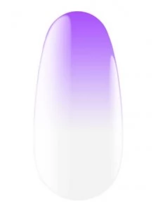 Express spray for ombre 17 5 g Kodi professional