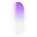 Express spray for ombre 17 5 g Kodi professional