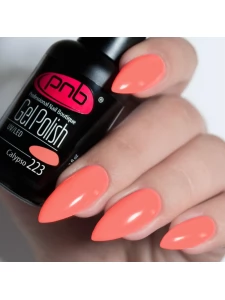 Gel nail polish PNB  223 8 ml