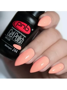 Gel nail polish PNB  244 8 ml