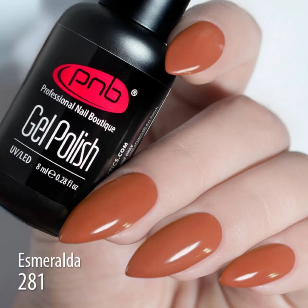 Gel nail polish PNB  281 8 ml