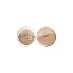 Color acryl 4.5 gr G17