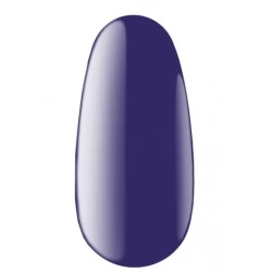 Gel polish 12 ml B 60 Kodi professional