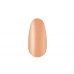 Gel polish 8 ml. SL 10