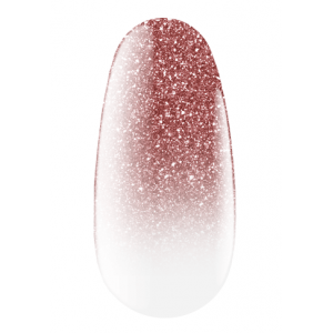 Express spray for ombre Kodi professional
