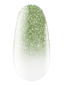 Express spray for ombre 10 7.5 g Kodi professional